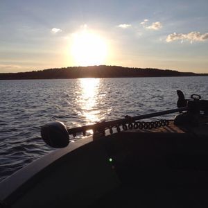 Meet your Posher, Sonny